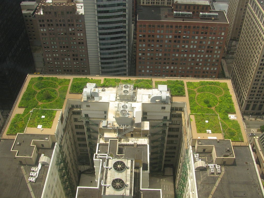 1024px-20080708_Chicago_City_Hall_Green_Roof.jpg