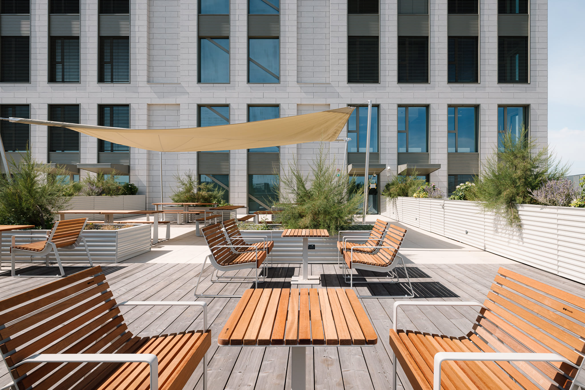 Shared terrace and private courtyard