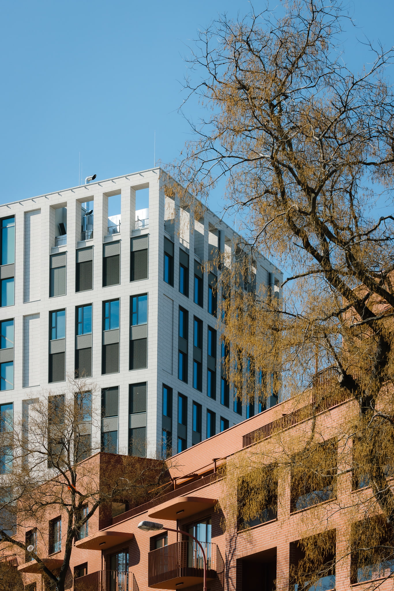 ZWIRN OFFICE detail.jpg