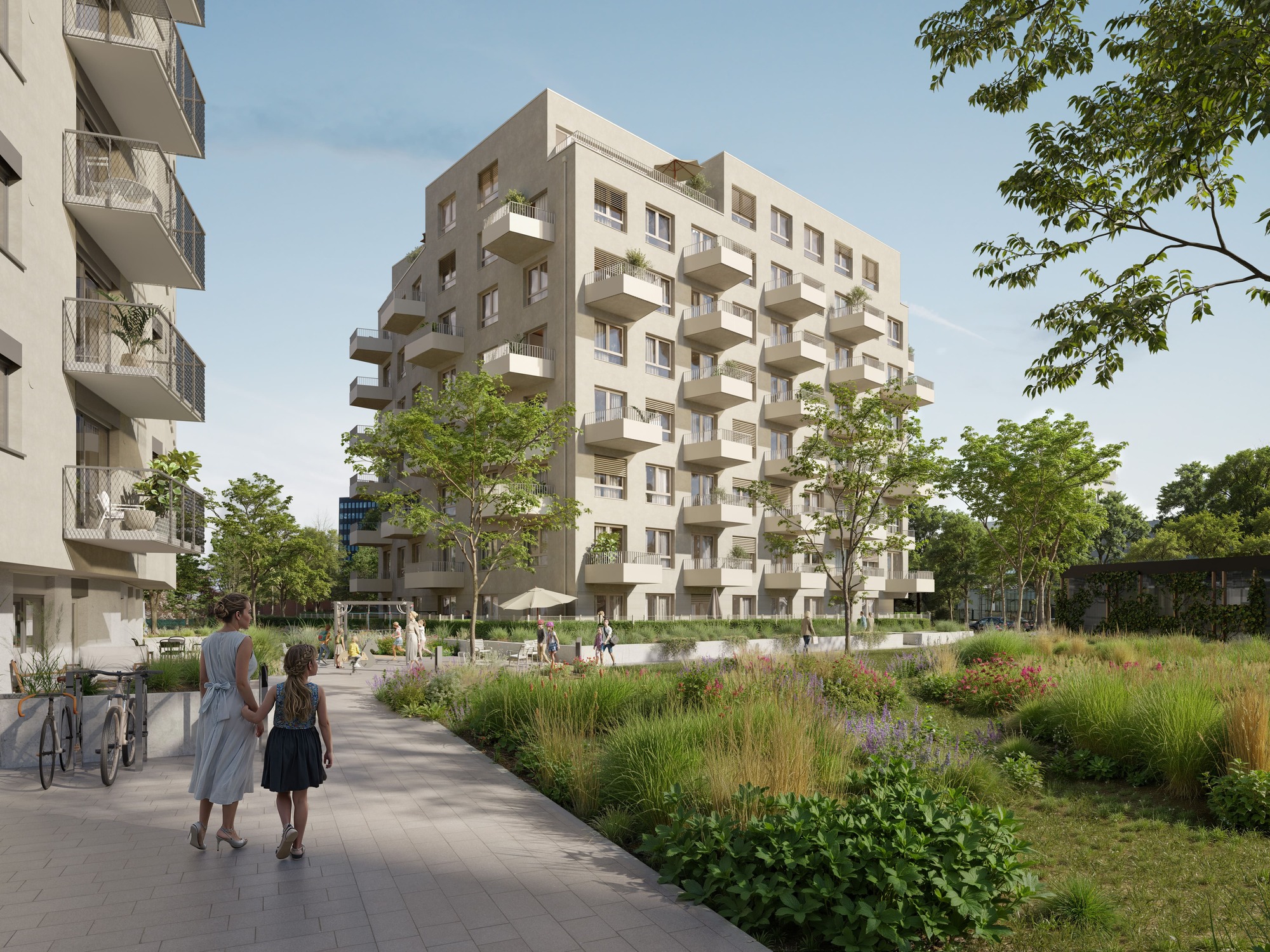 ROZETA - V príprave