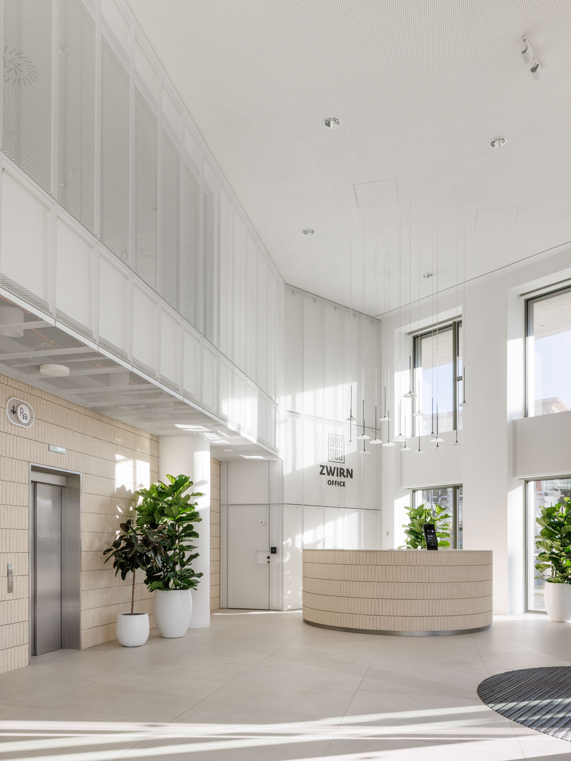 Reprezentatívna recepcia