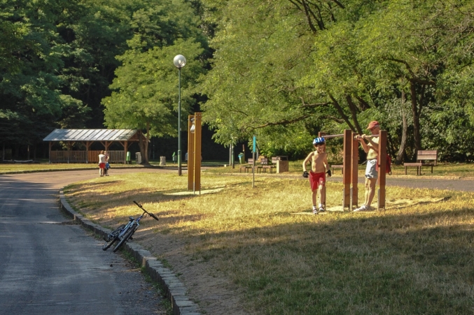 Čo by mal správny Karlovešťan vedieť o Karlovej Vsi